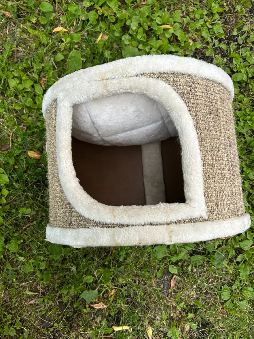 Cat  cave image indicator(3)