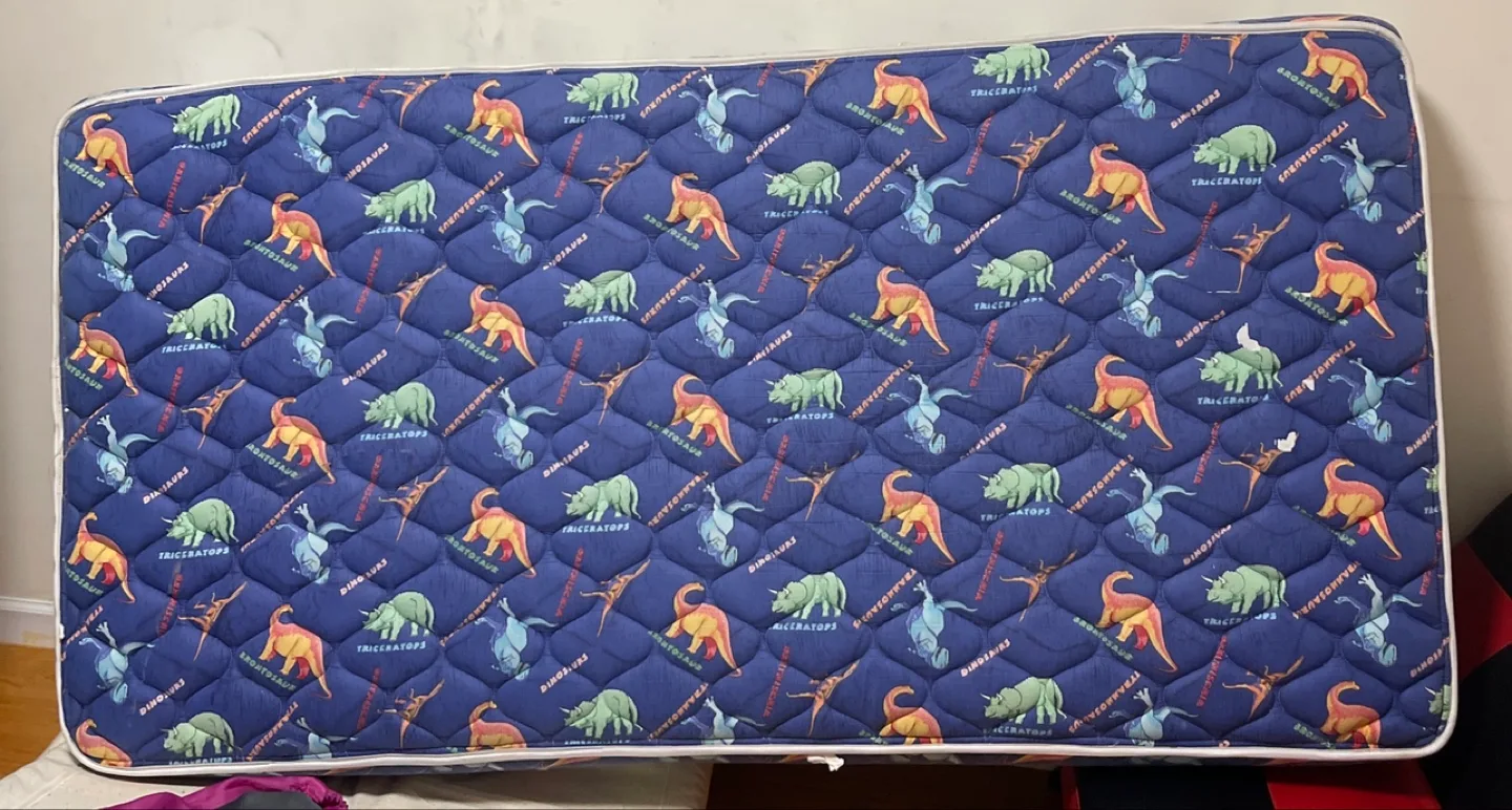 🎉MOVING SALE🎉Dinosaur Print  Mattress thumbnail