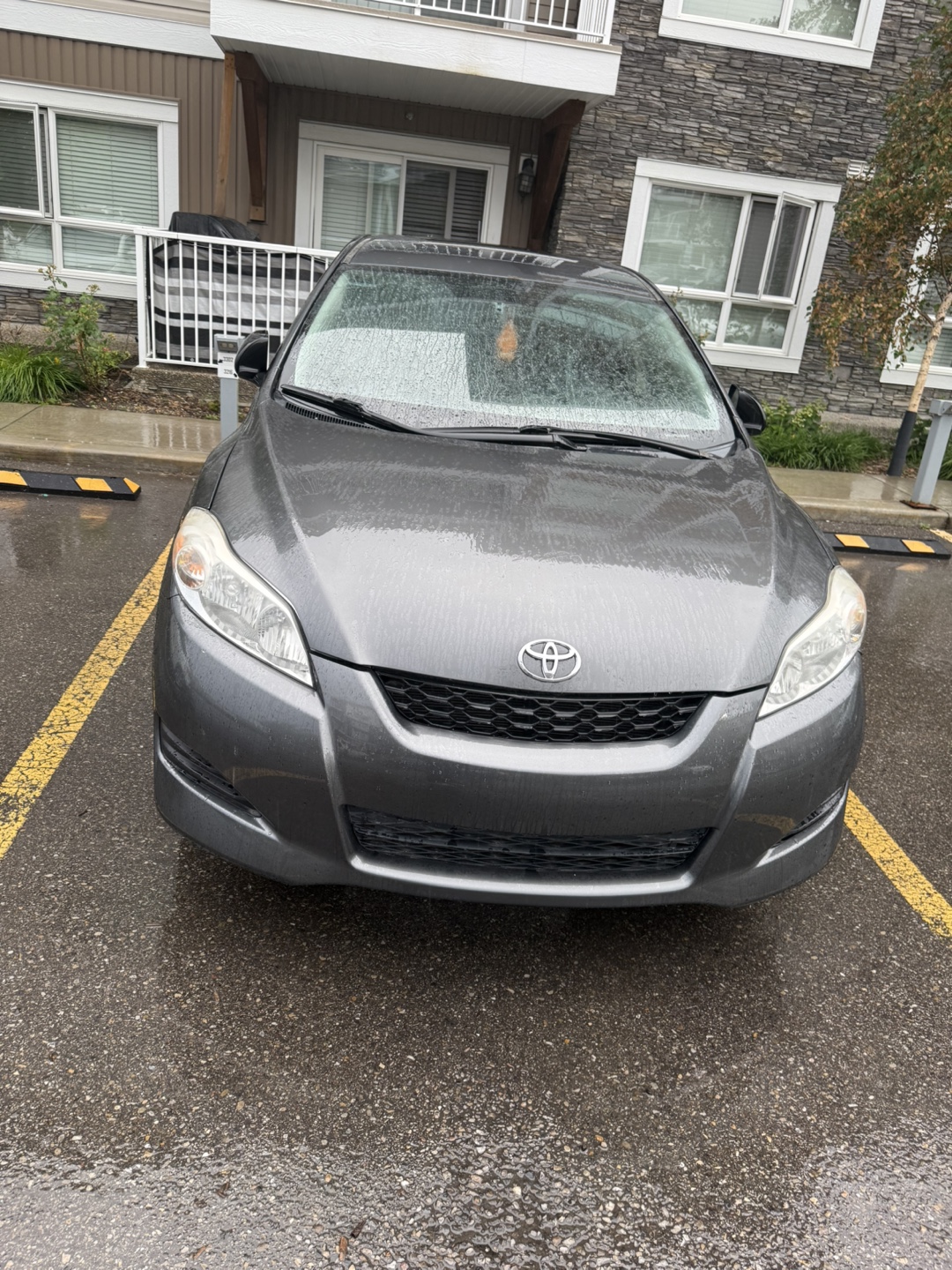 Toyota Matrix 2009- Grey - photo 2
