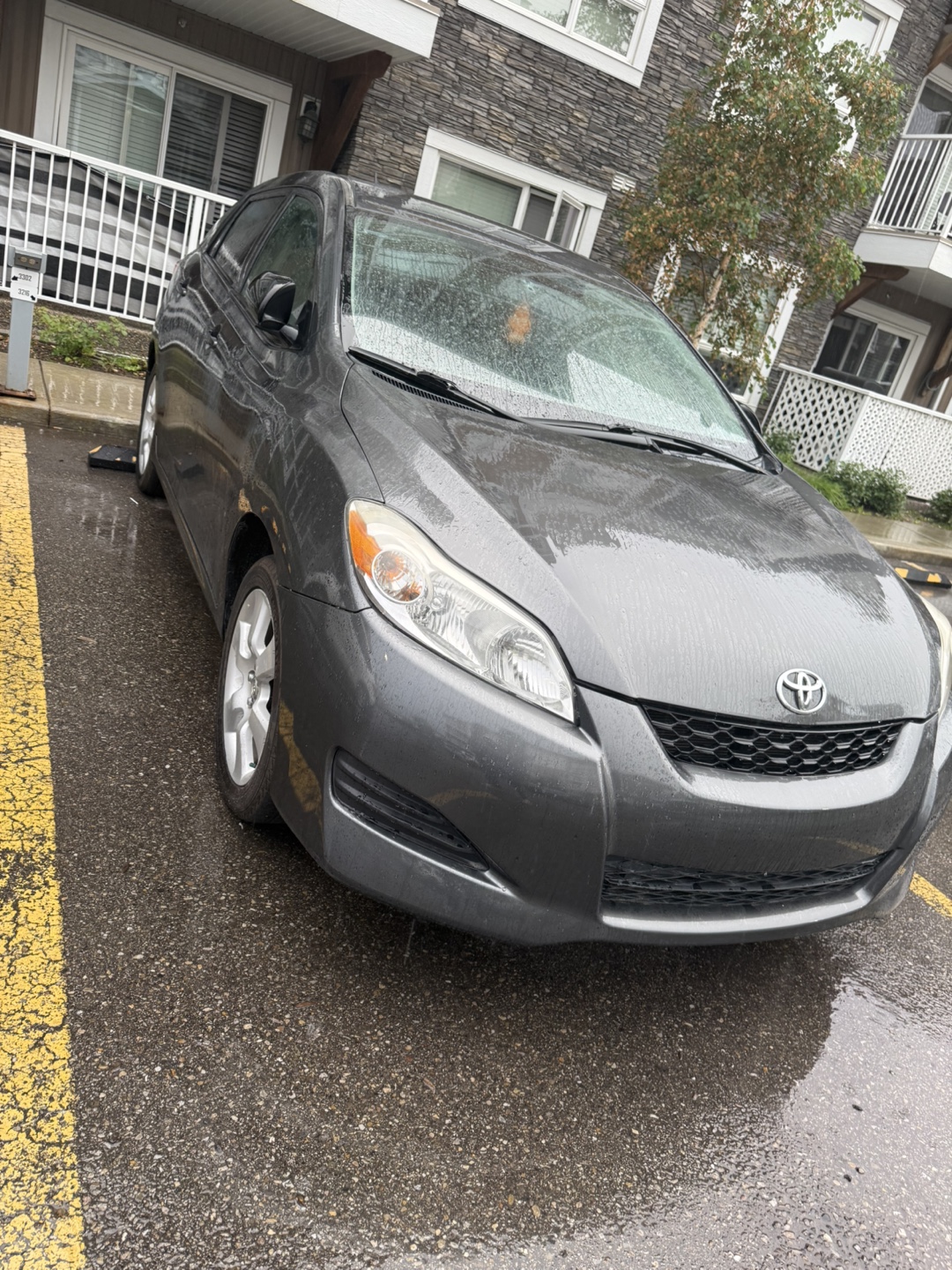 Toyota Matrix 2009- Grey