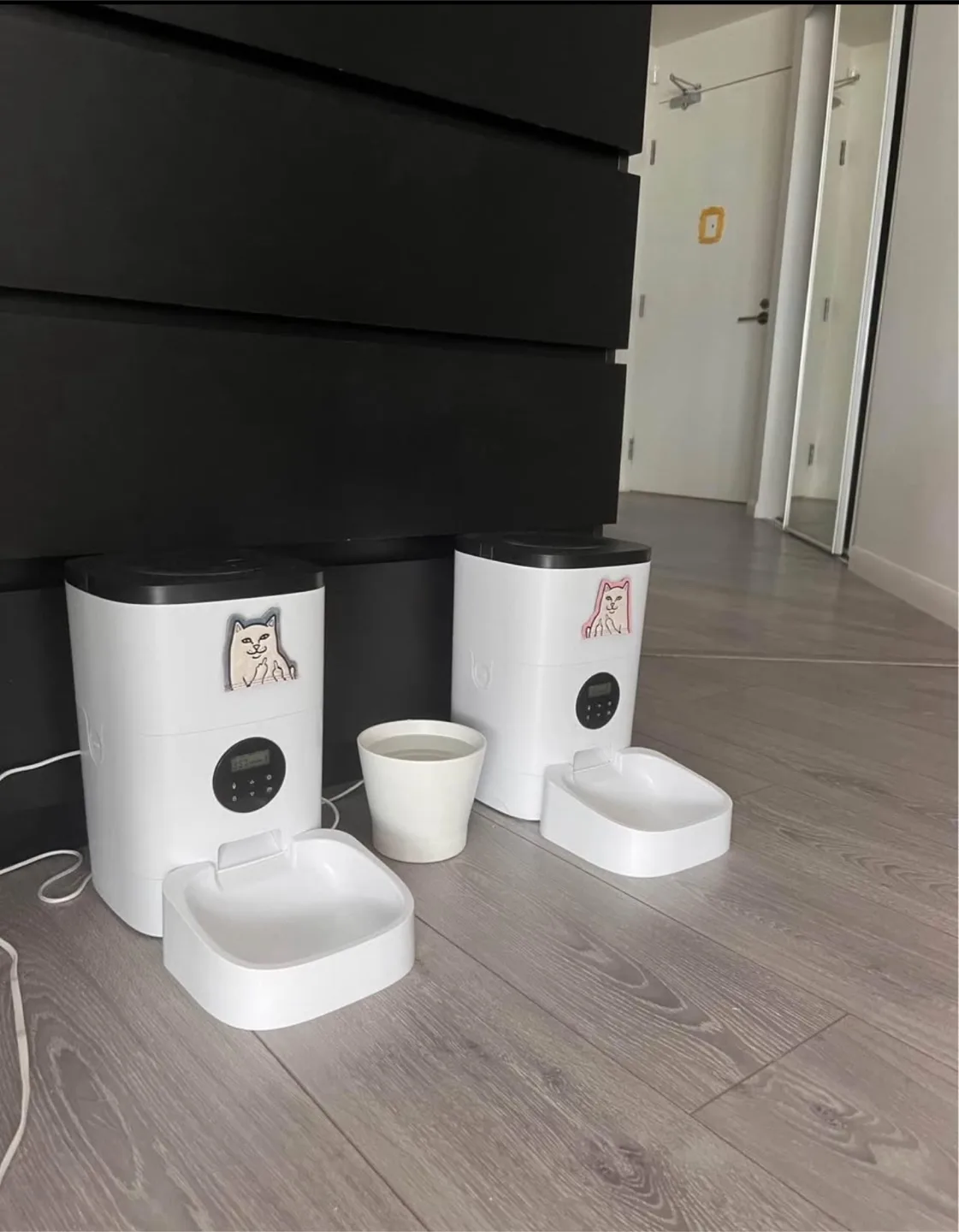 PETLIBRO Automatic Cat Feeder + free water fountain thumbnail