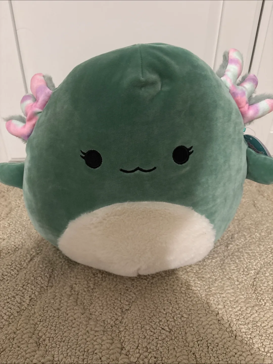 Axolotl Squishmallow thumbnail
