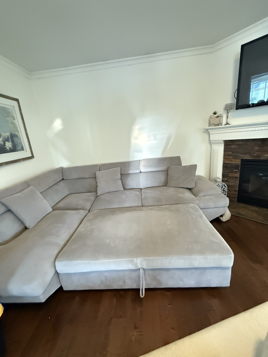 Grey Sectional Sofa bed with Ottoman