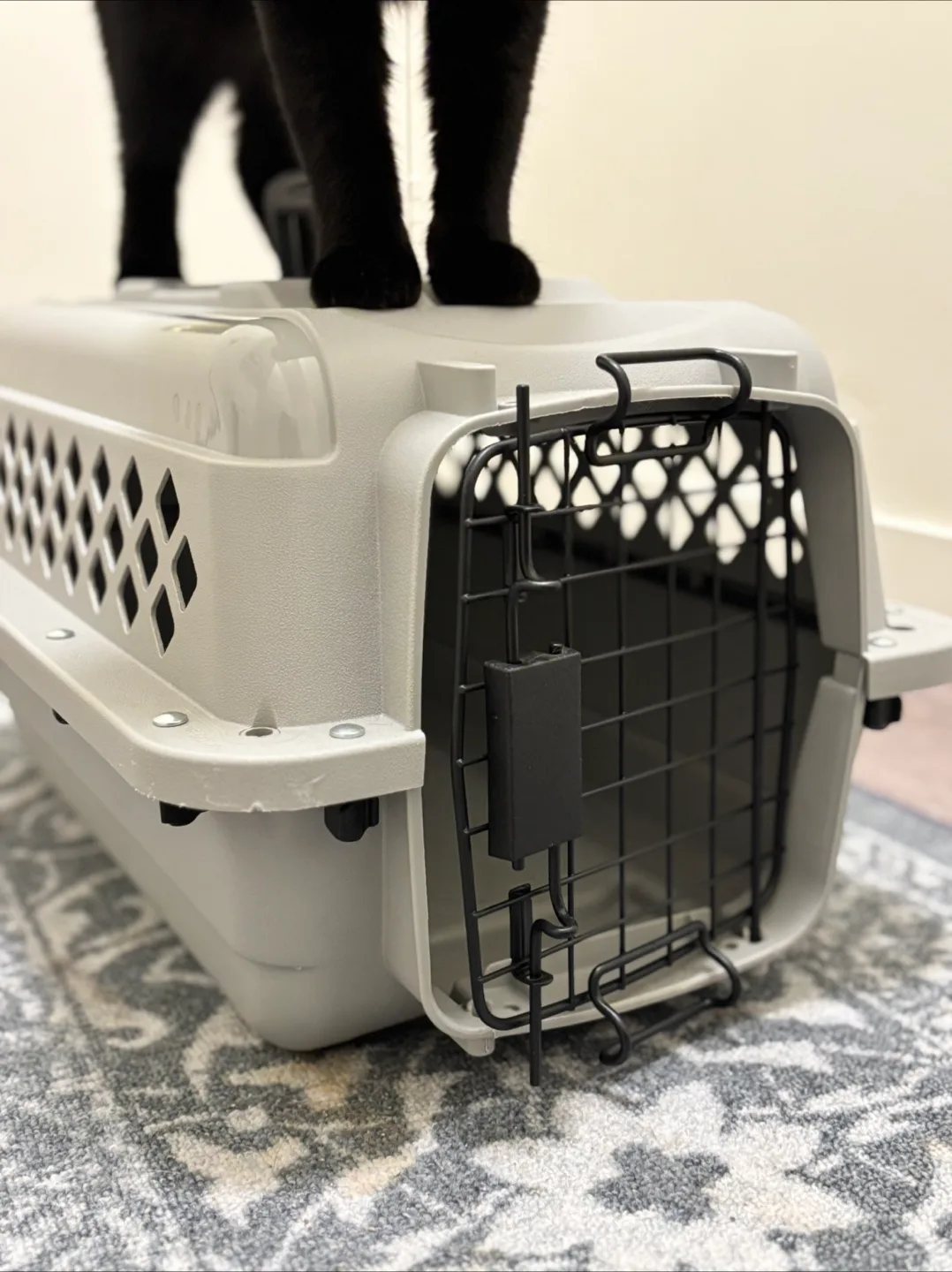 Small Grey Pet Carrier thumbnail