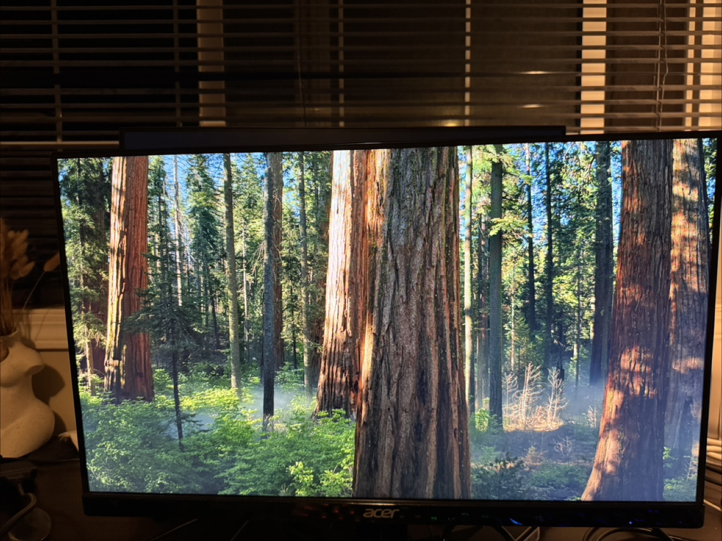 Acer 24 inch monitor