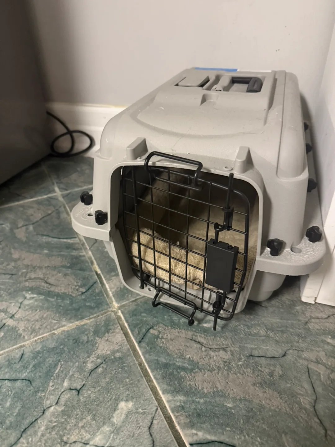 Petco Classic Kennel Transporter thumbnail
