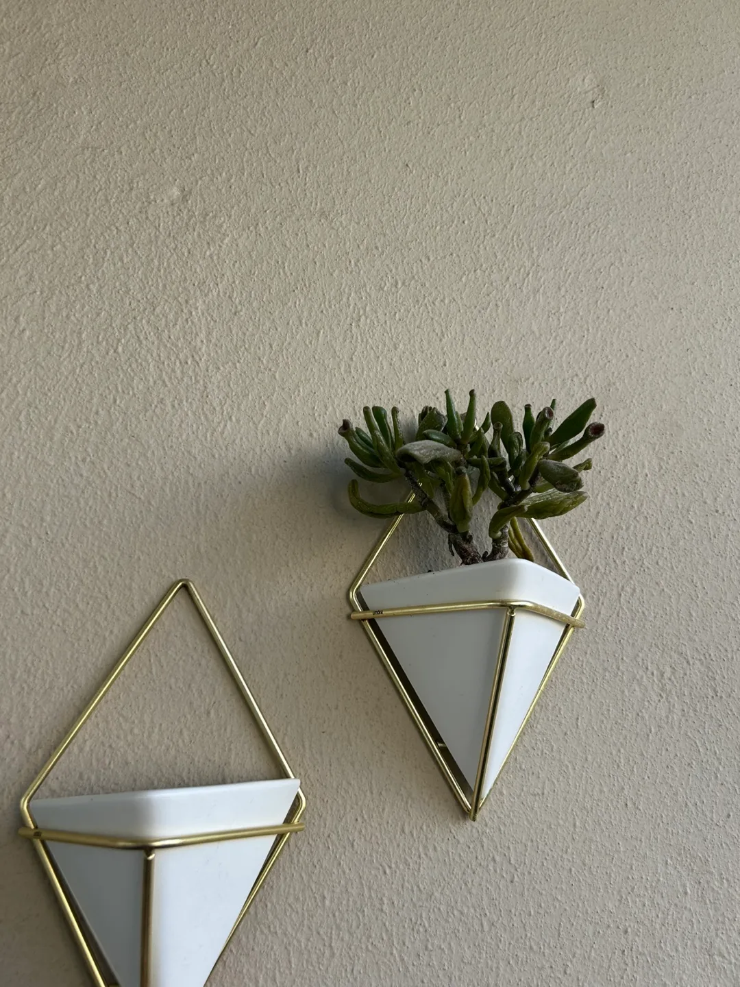 Geometric Wall Planter - Set of 2 thumbnail