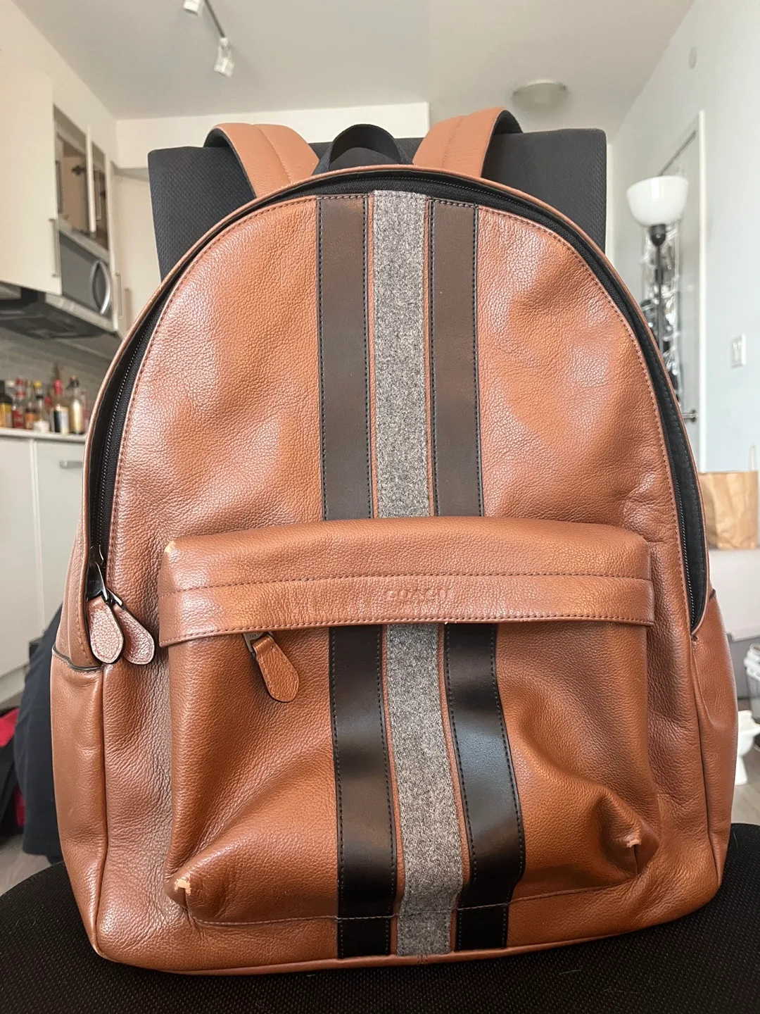 Coach Leather Backpack thumbnail