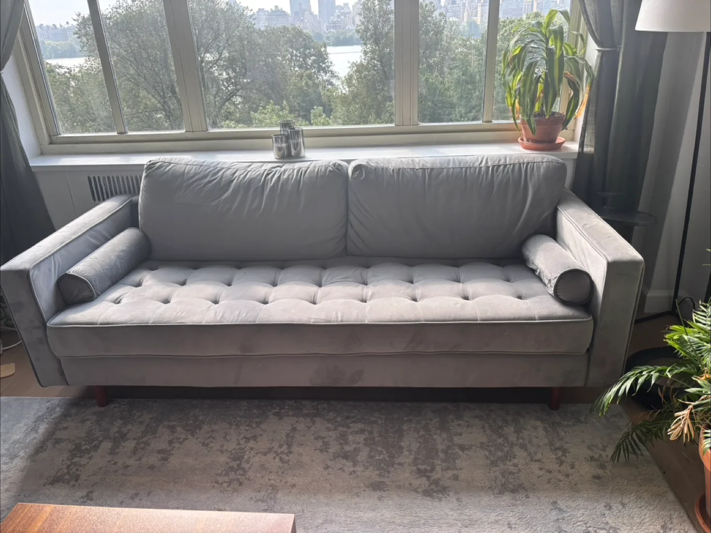 Gray Sofa thumbnail