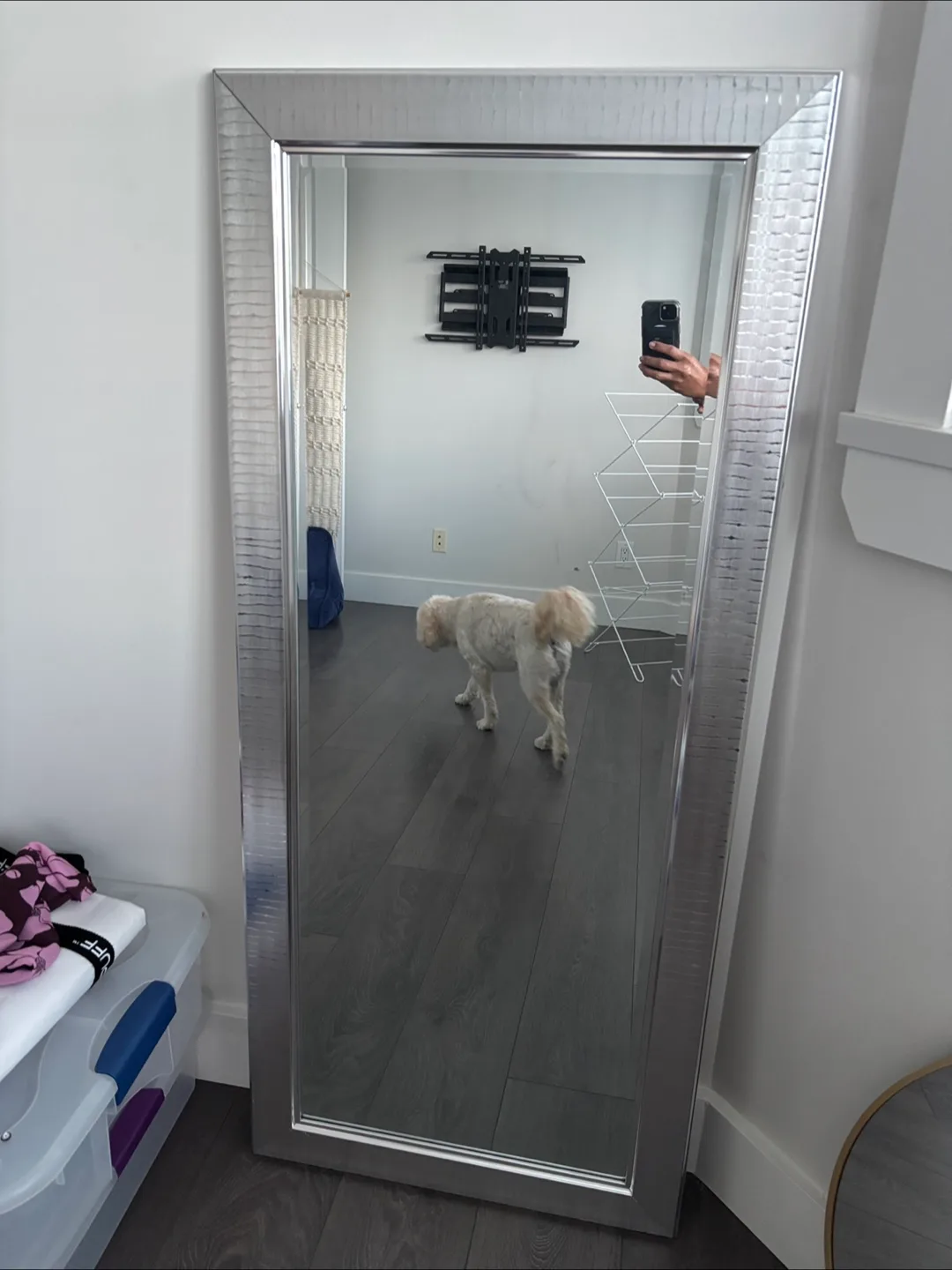 Silver Framed Full Length Mirror thumbnail
