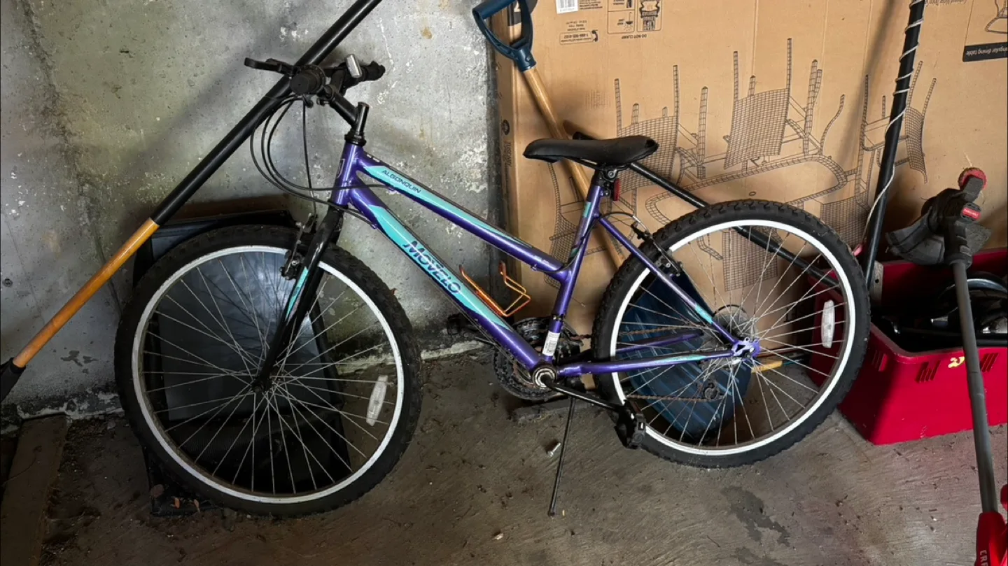 Purple Movelo Algonquin Bike - Used thumbnail