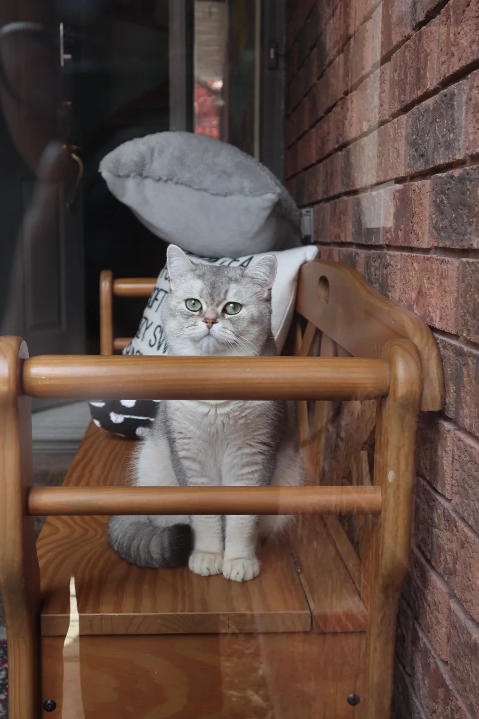 Canon EOS M100 Camera with 15-45mm Lens, Black image indicator(7)