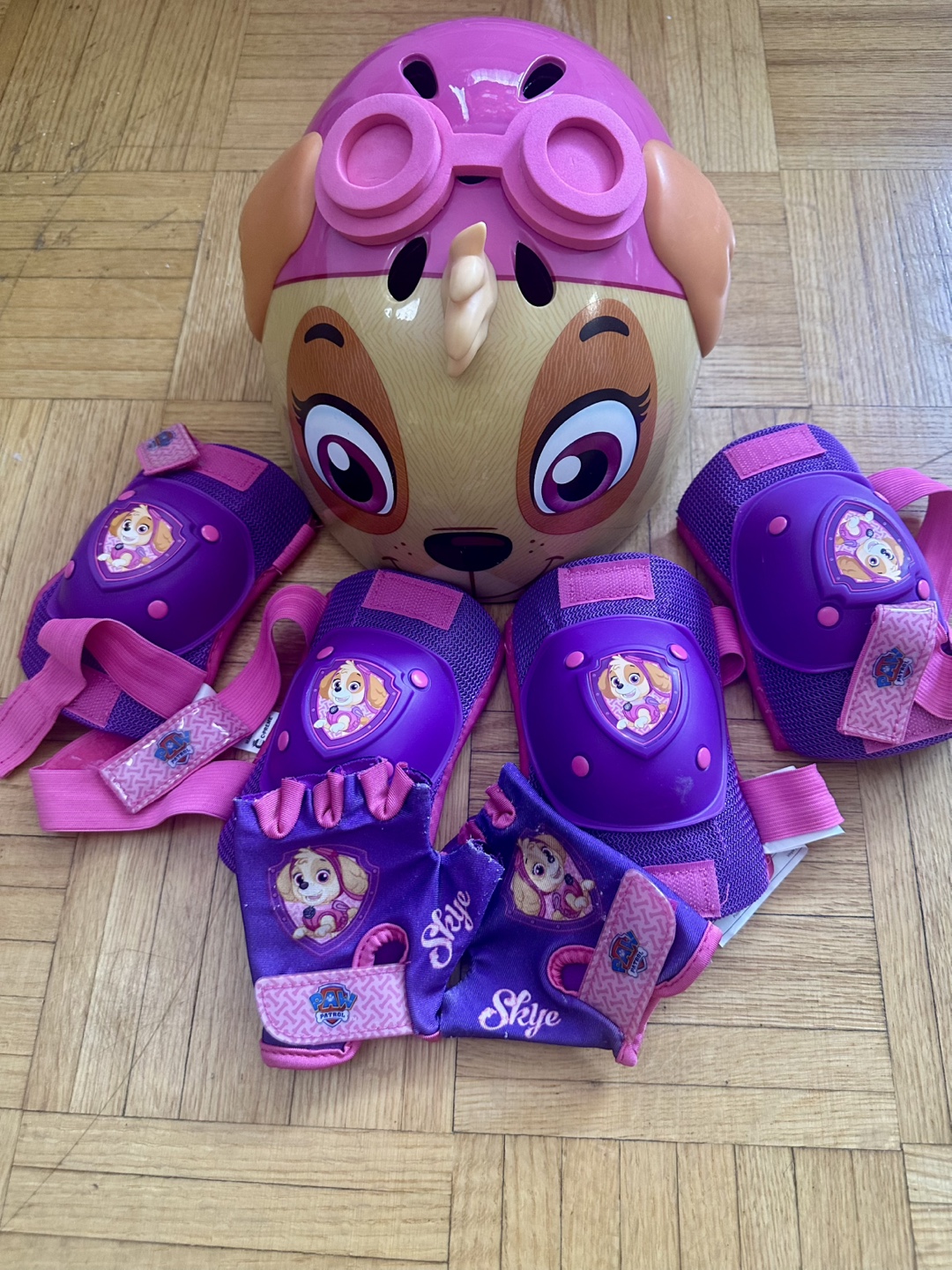 Paw Patrol Skye Helmet & Protective Gear Set
