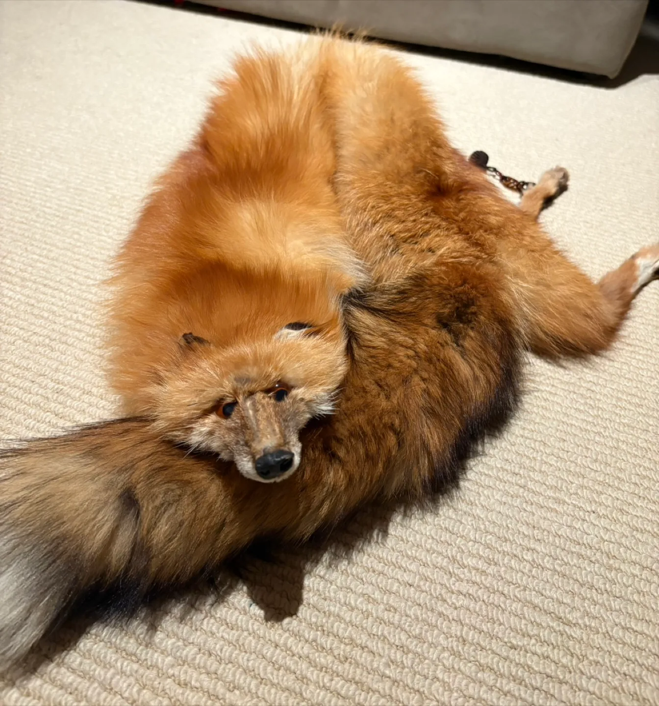 60’s Real Red Fox Fur Stole Vintage With Feet, Head and Tail thumbnail