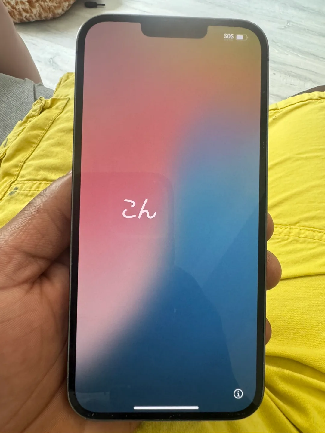 iPhone 13 Pro Max image indicator(4)