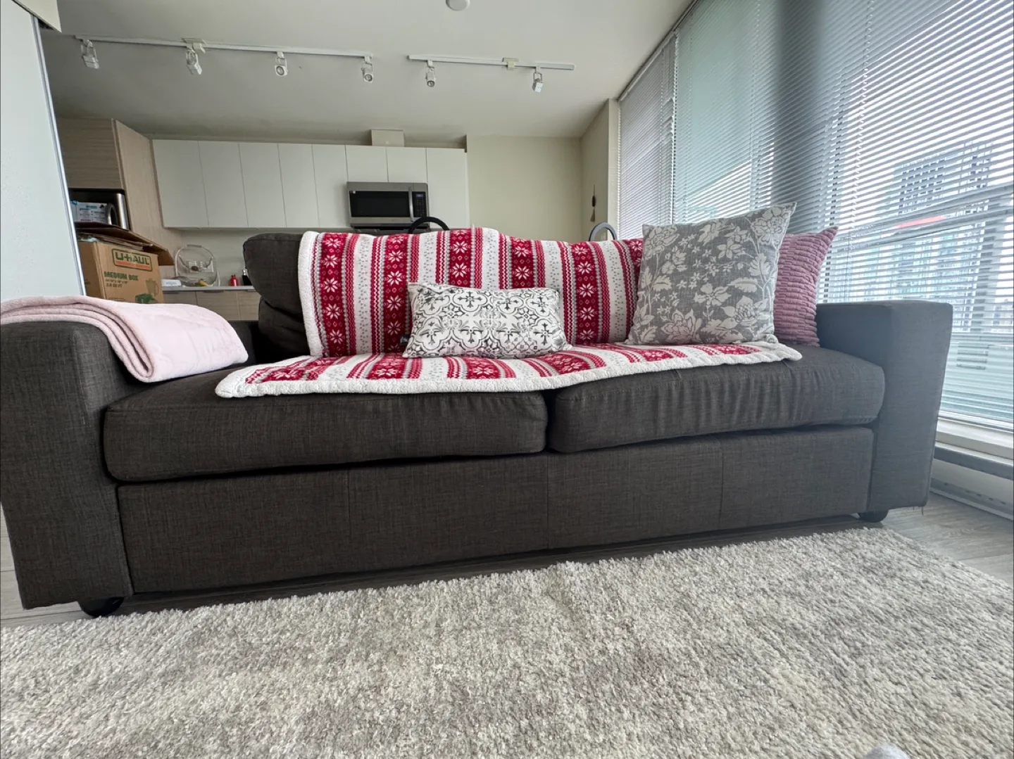 Comfortable Grey Sofa image indicator(7)