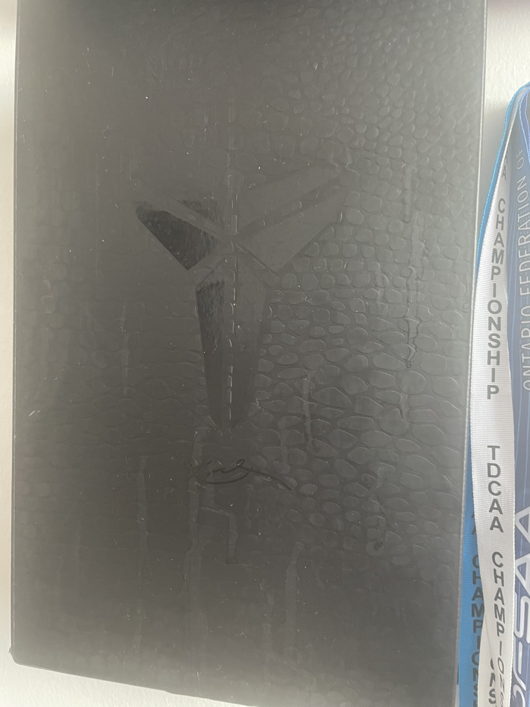 Kobe 4 gift of mamba - photo 4