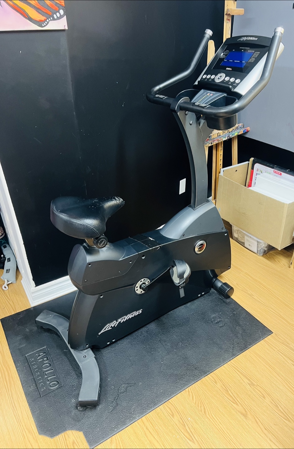 Beat the Heat with an Indoor Fitness Bike