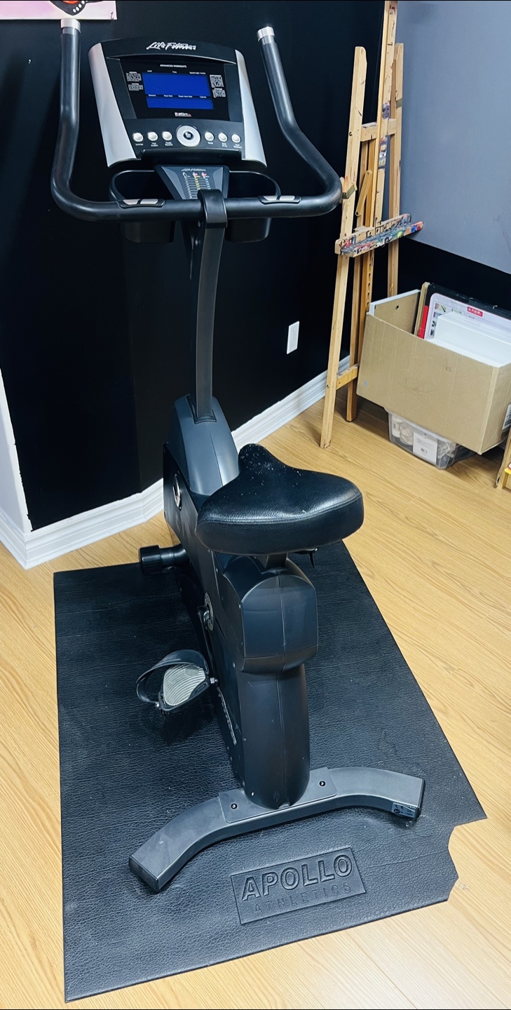 Beat the Heat with an Indoor Fitness Bike - photo 2