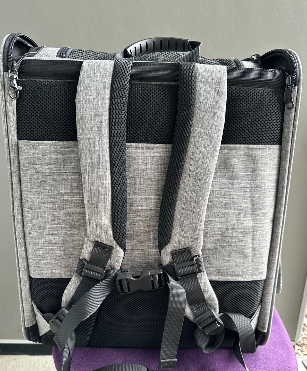 Pecute Dog Carrier Backpack XL - Gray image indicator(5)