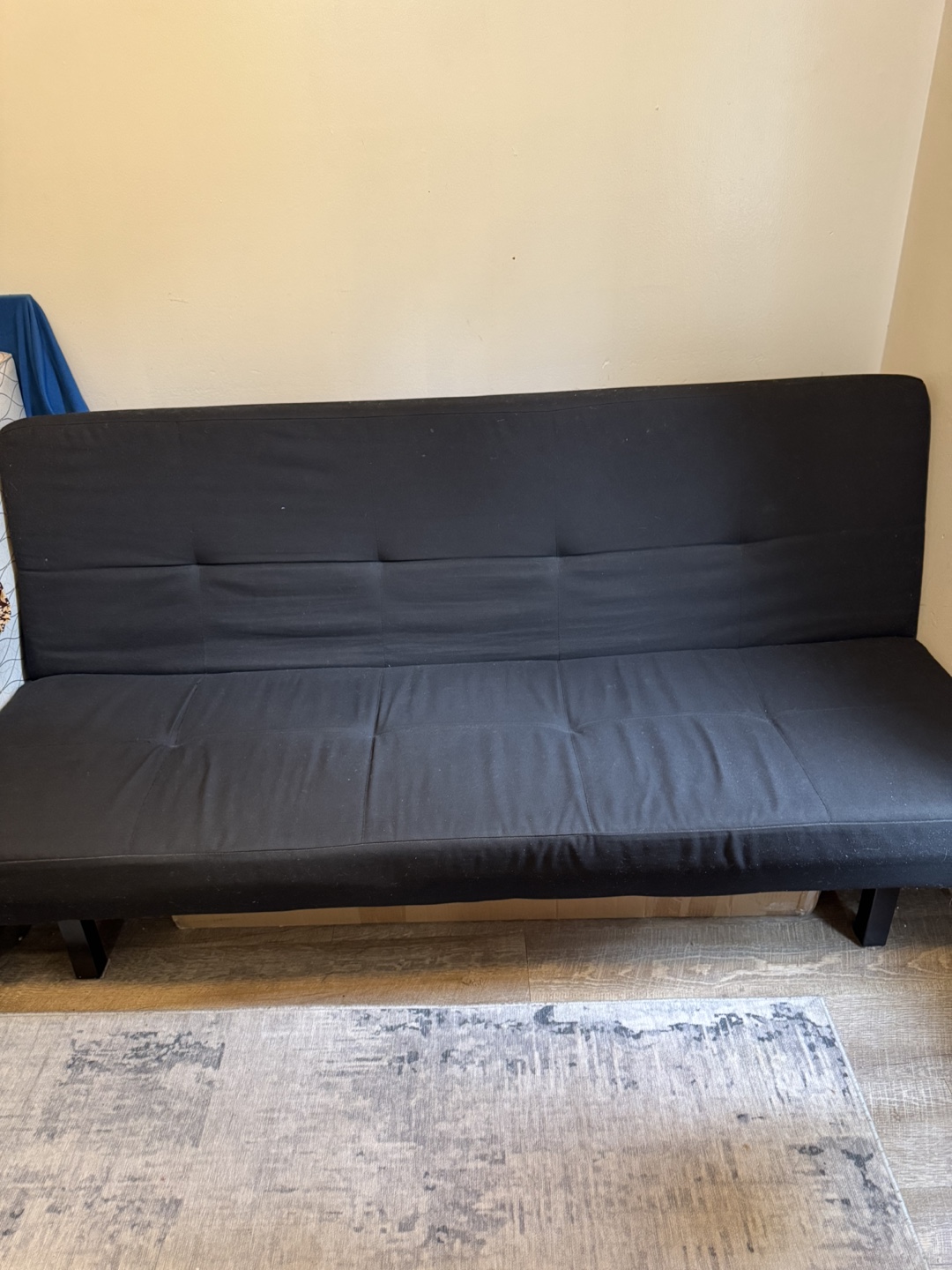 Futon bed couch