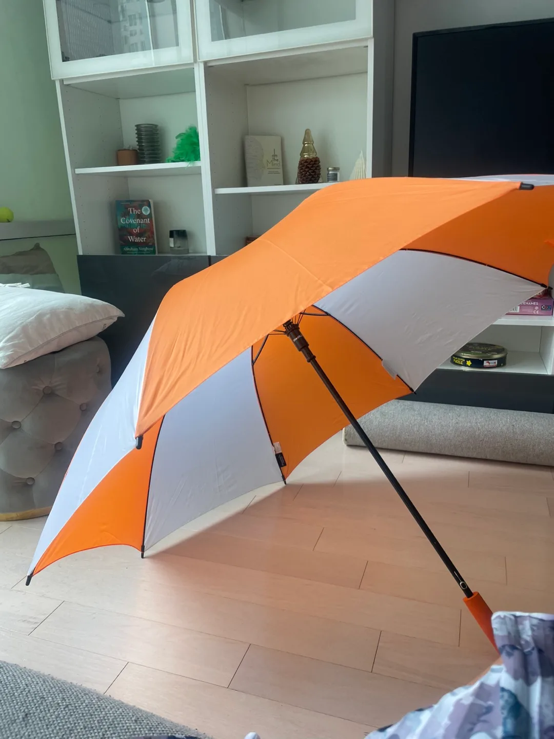 Orange & White Umbrella thumbnail
