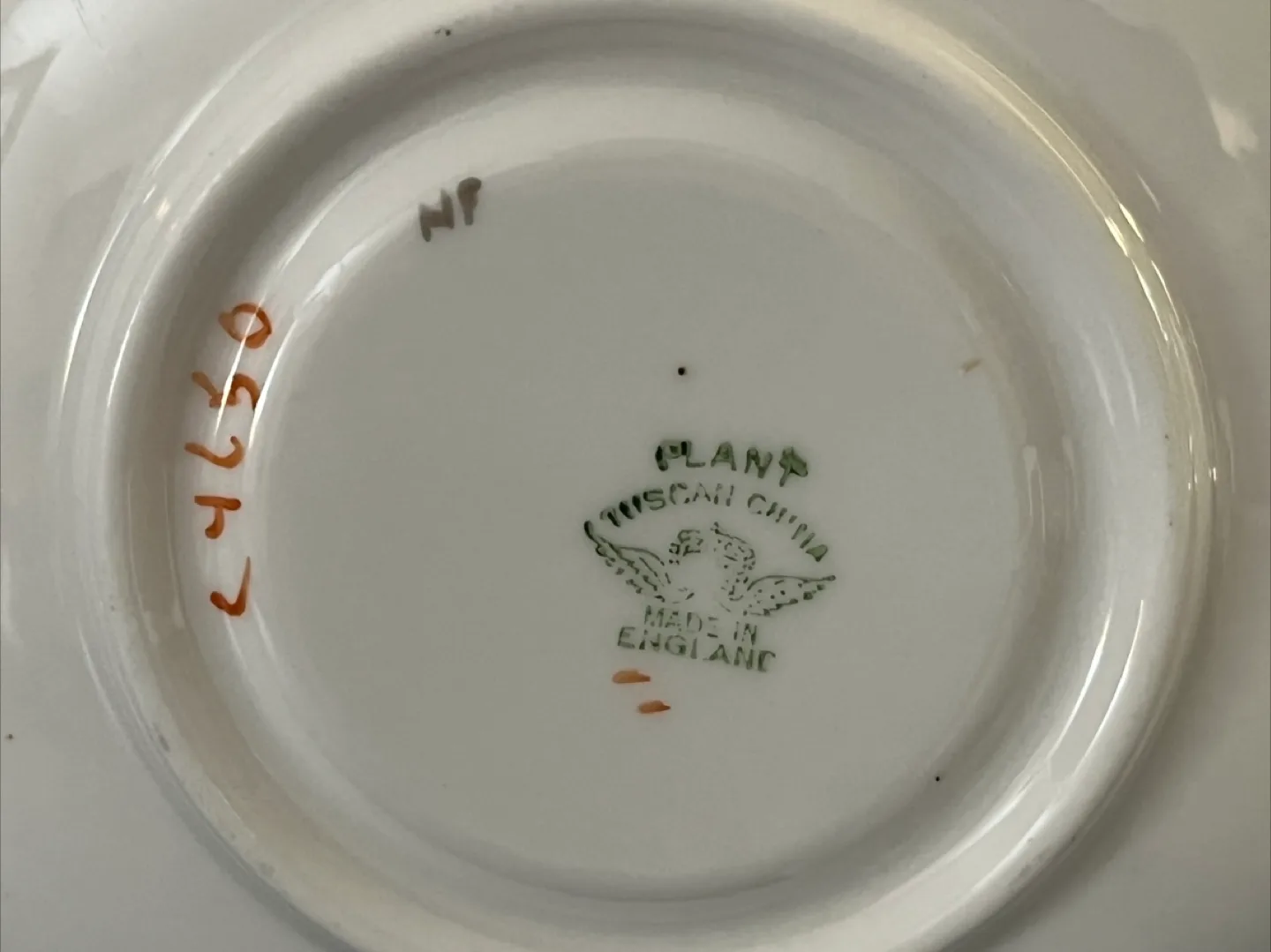 Plant Tuscan China Cup & Saucer Set image indicator(4)