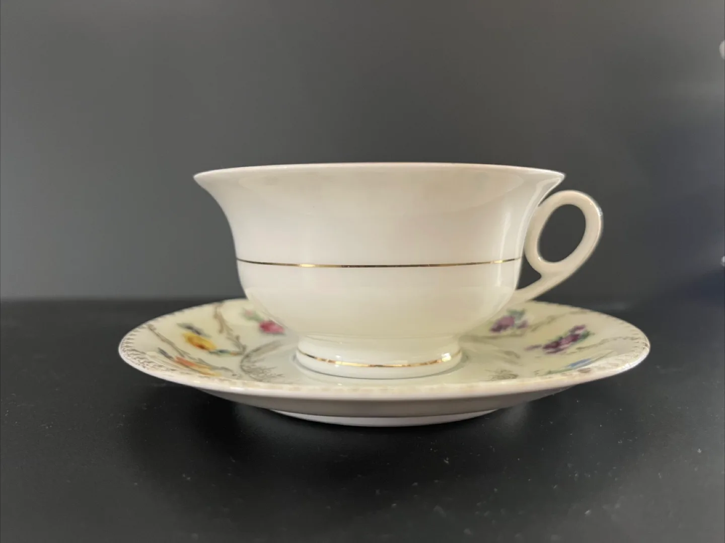 MZ Altrohlau CMR Teacup and Saucer Set image indicator(3)