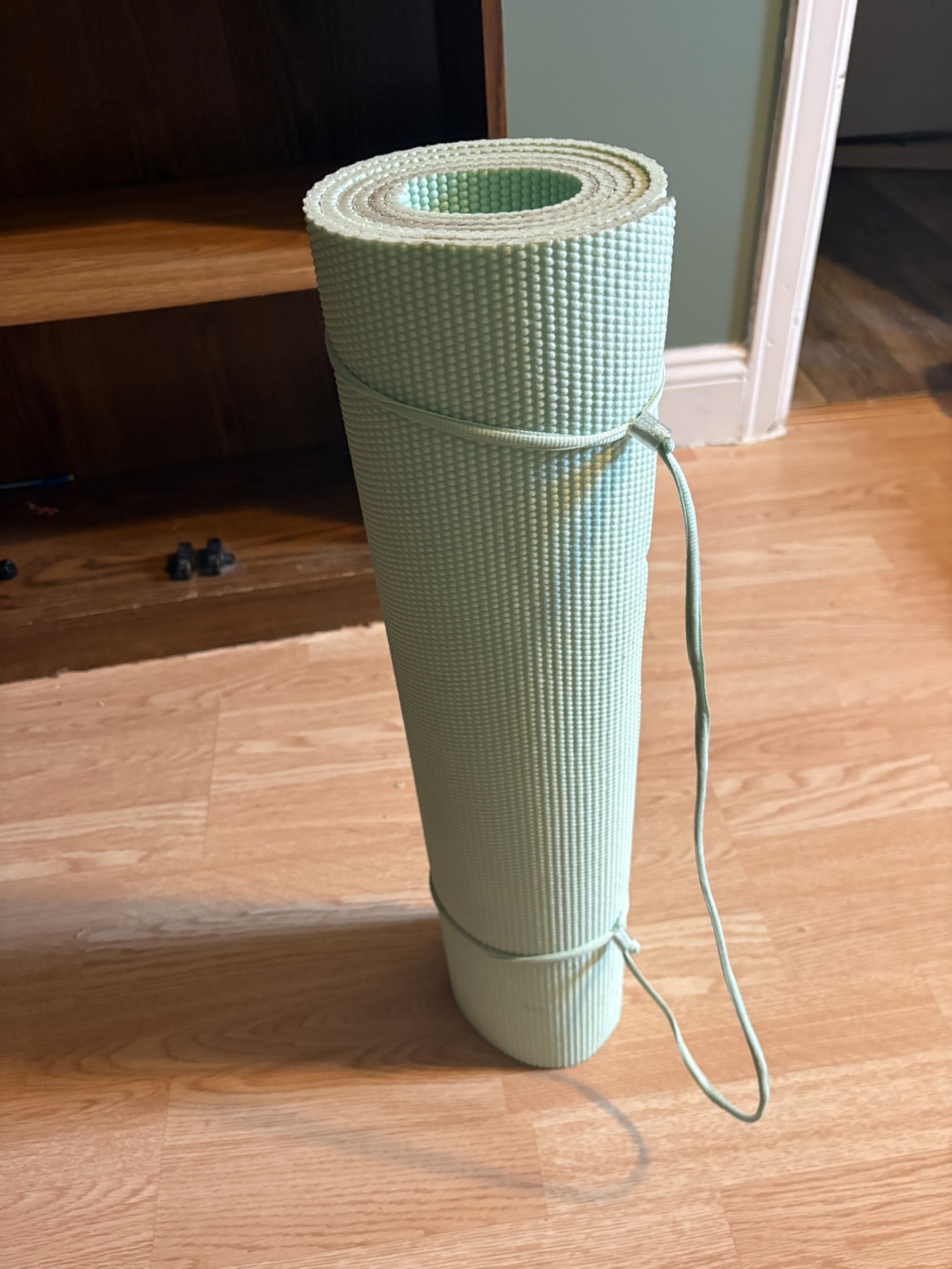 Light Green Yoga Mat #freecycle
