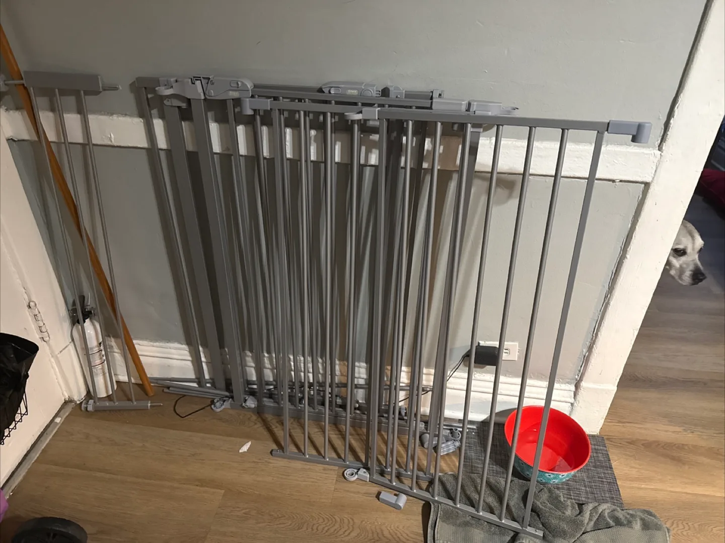 Dog/ Baby Gate thumbnail