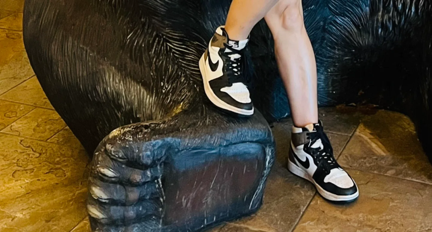 Nike Air Jordan 1 High OG Mocha thumbnail