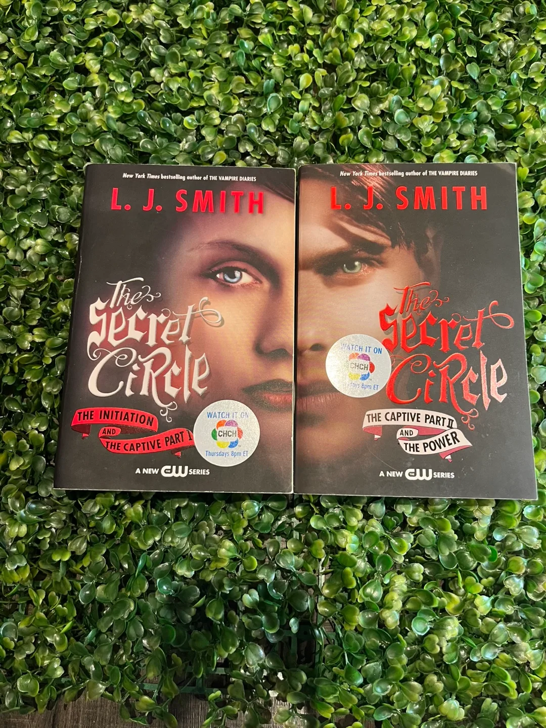 L.j. Smith Books thumbnail