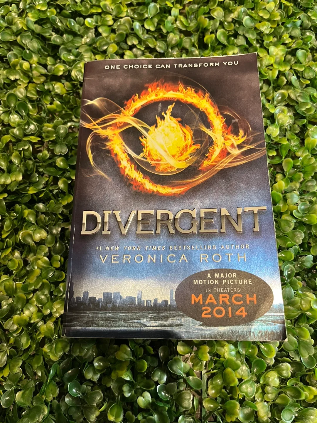 Divergent Book thumbnail