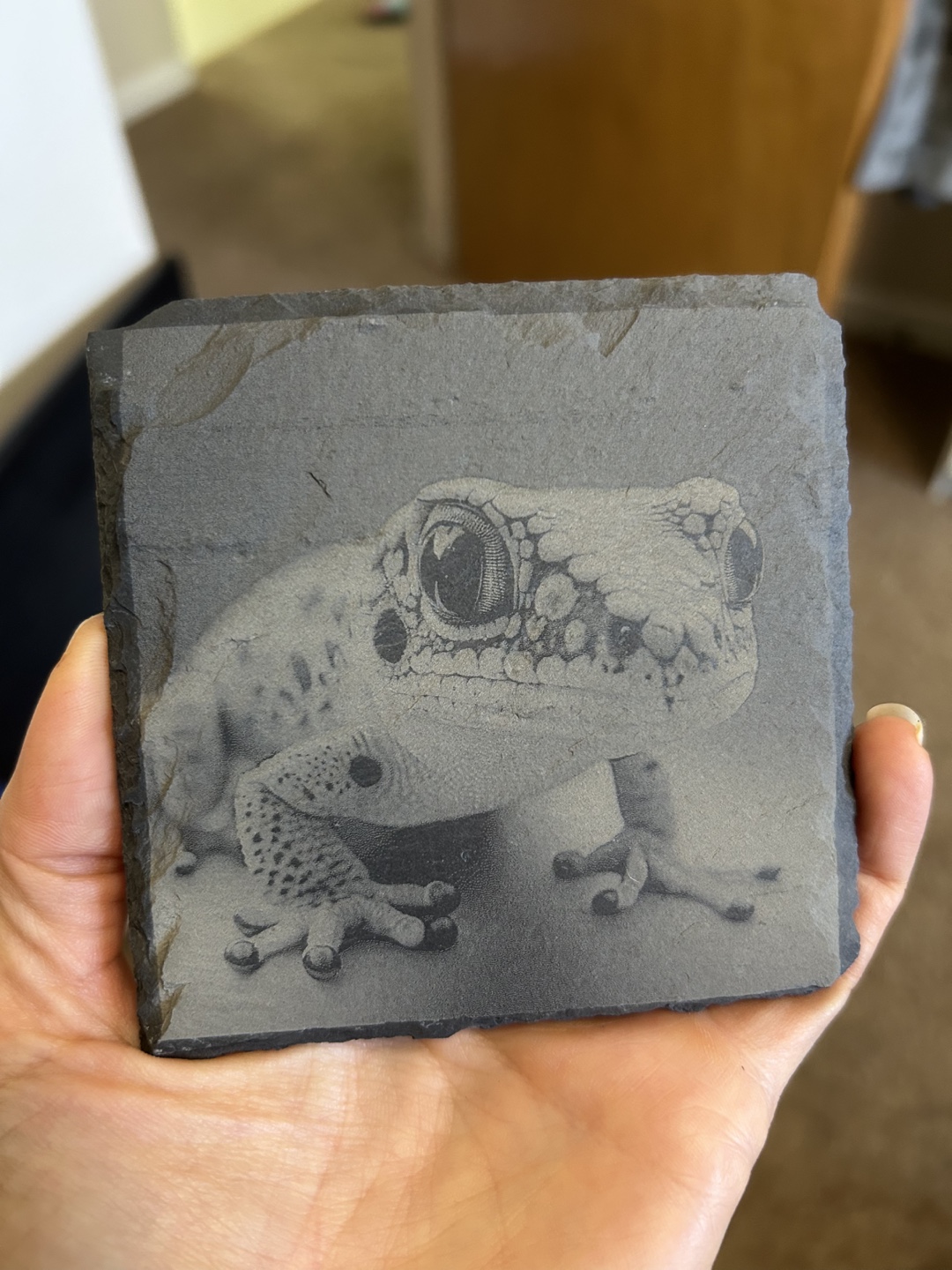 6 Wildlife Slate Coasters - photo 3