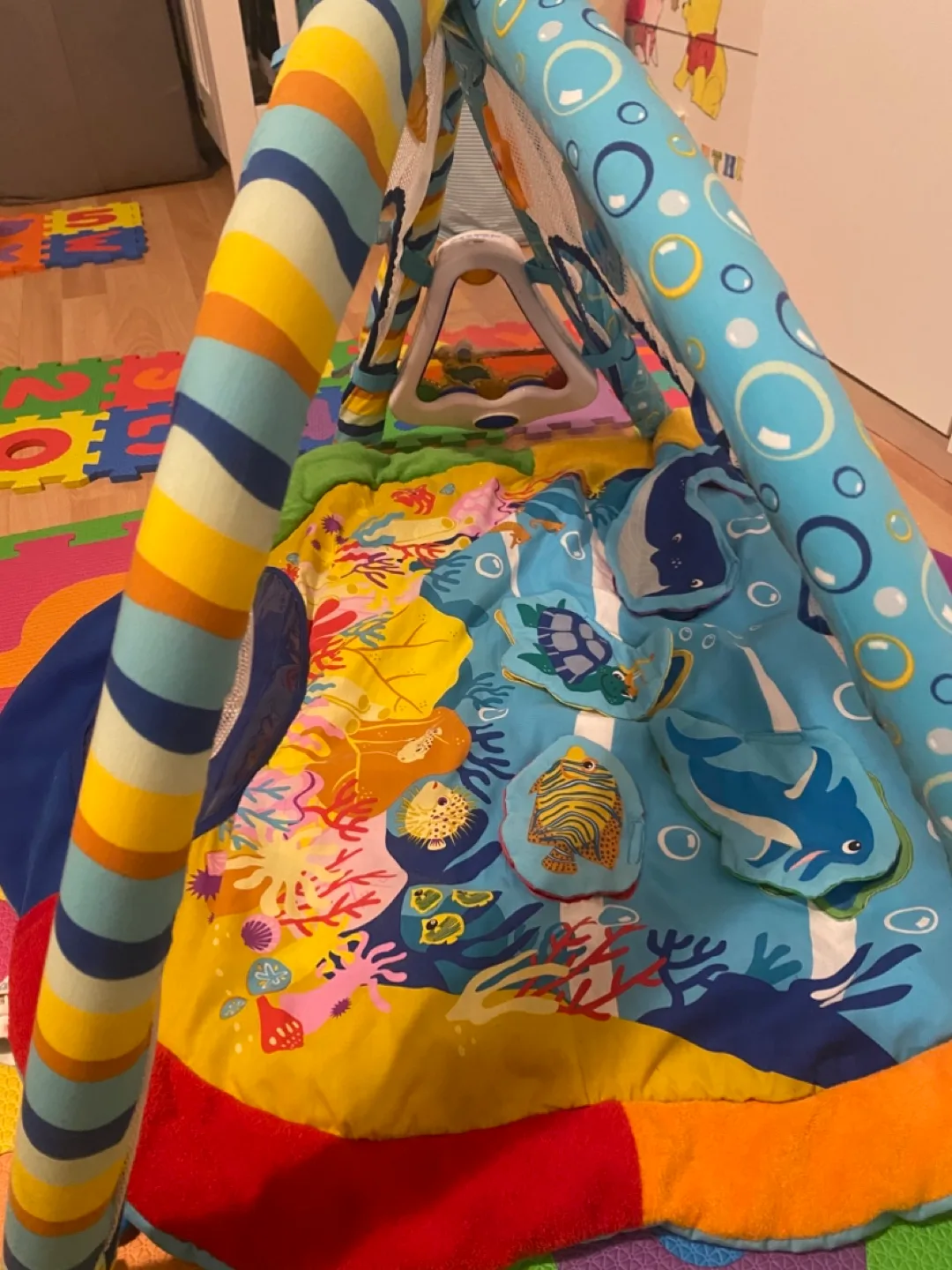 Baby Play Gym with Ocean Theme image indicator(2)