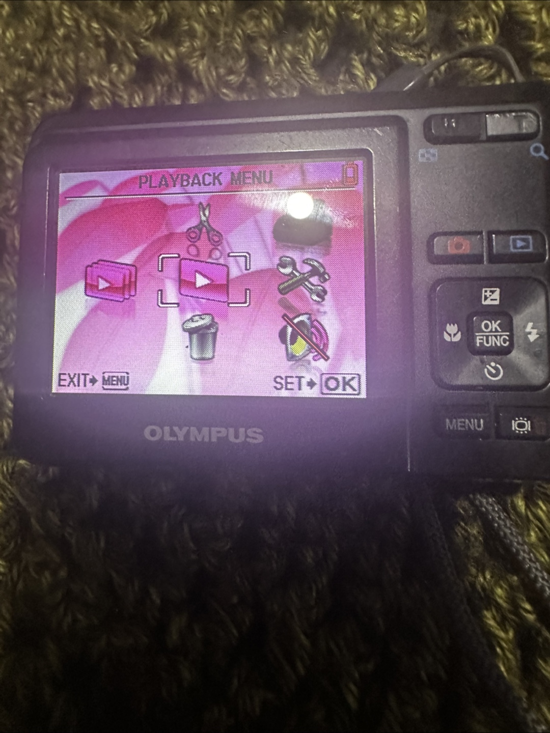 Olympus FE Series Digital Camera - photo 4
