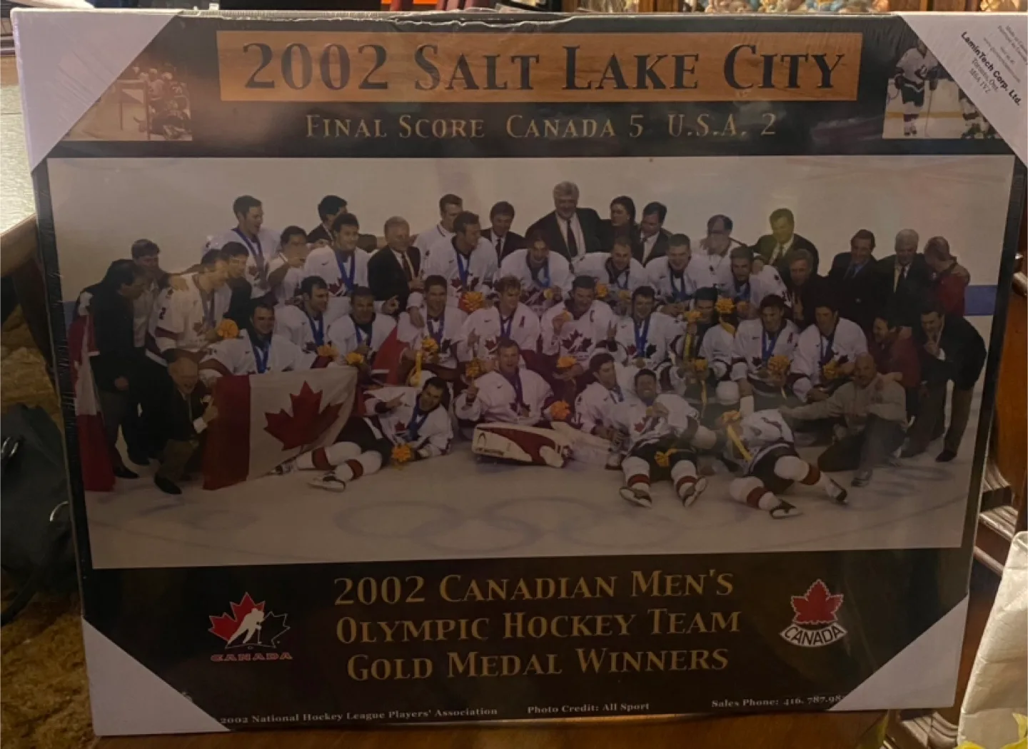 2002 Canadian Olympic Hockey Team Gold Medal Print thumbnail