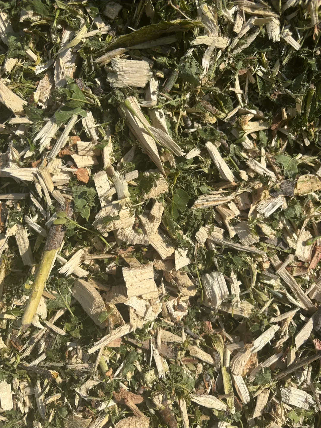 FREE Mulch! **READ Description!** - #freecycle thumbnail
