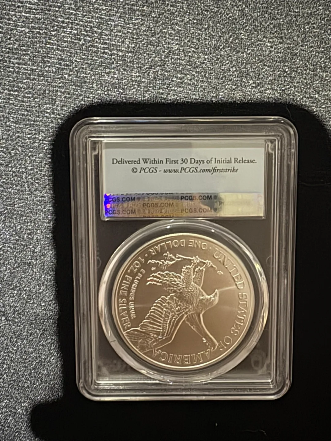2022 Silver Eagle PCGS MS69 image indicator(2)