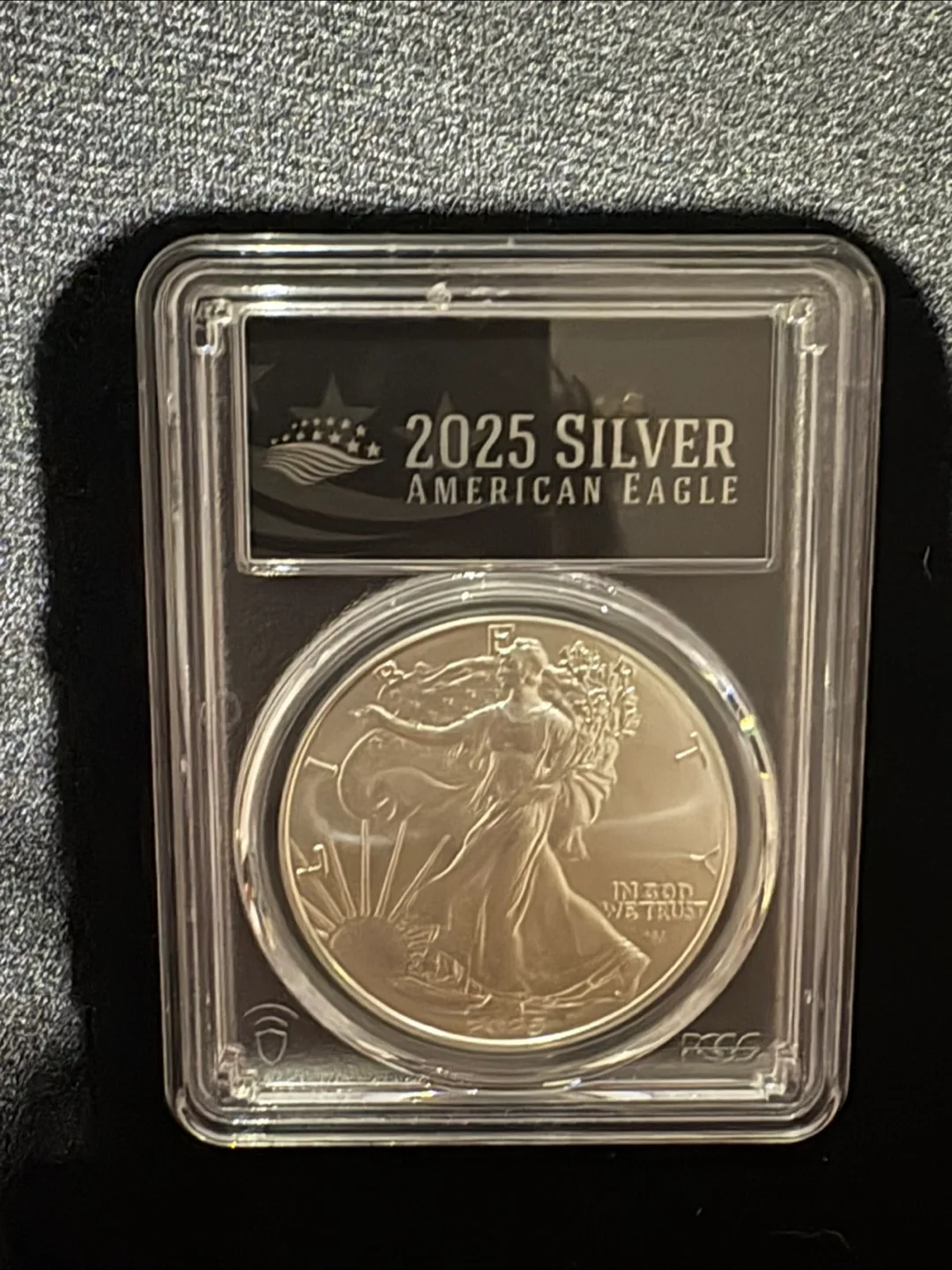 2025 Silver American Eagle Coin thumbnail