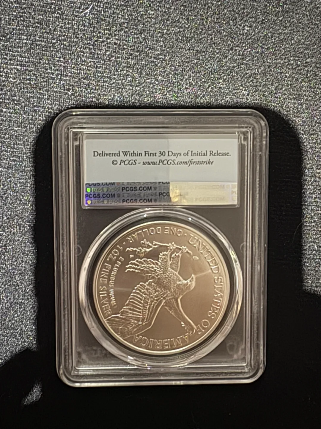 2022 FirstStrike Silver Eagle Dollar MS69 image indicator(2)