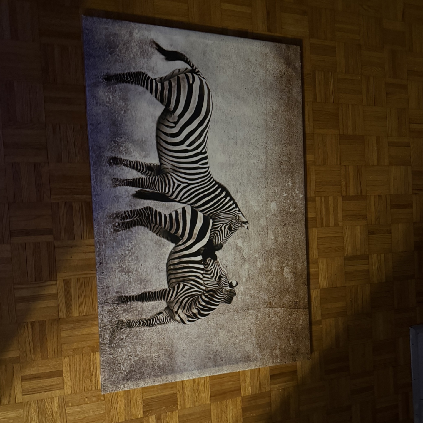 Zebra Canvas Wall Art