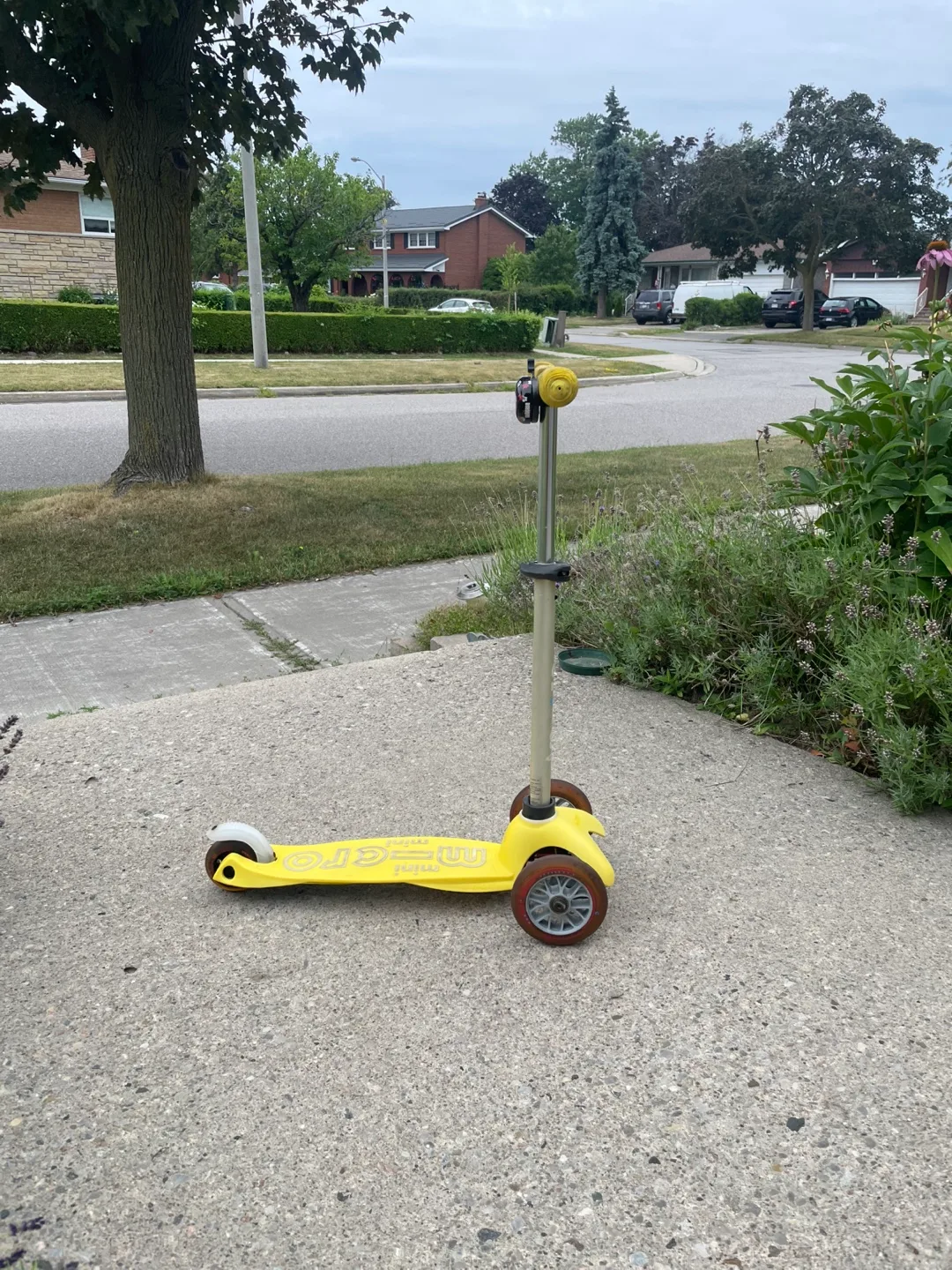 💛Moving 💛Yellow Micro Mini Scooter 🇨🇦🍁 thumbnail