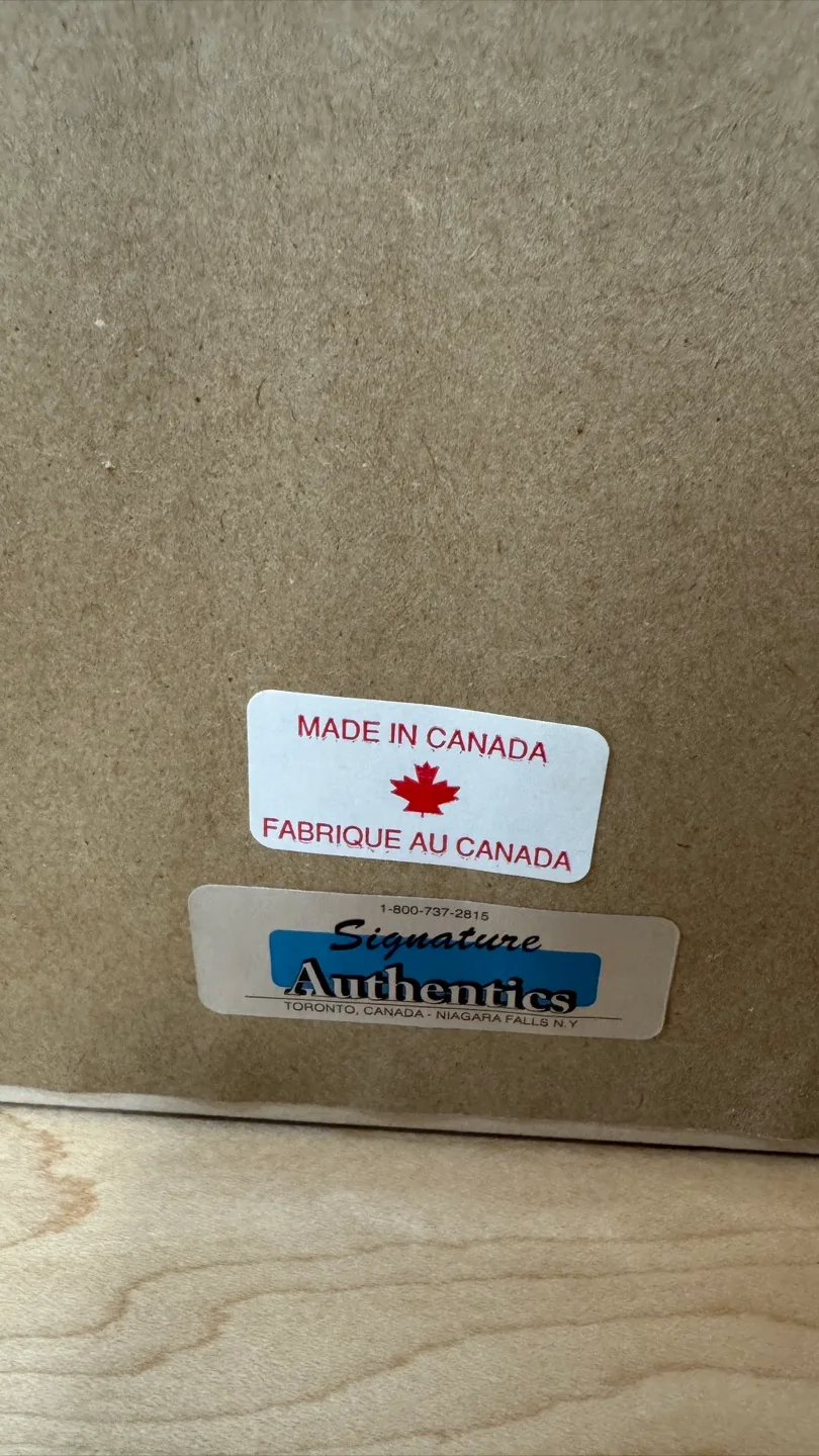 LeBron James Framed Memorabilia image indicator(8)