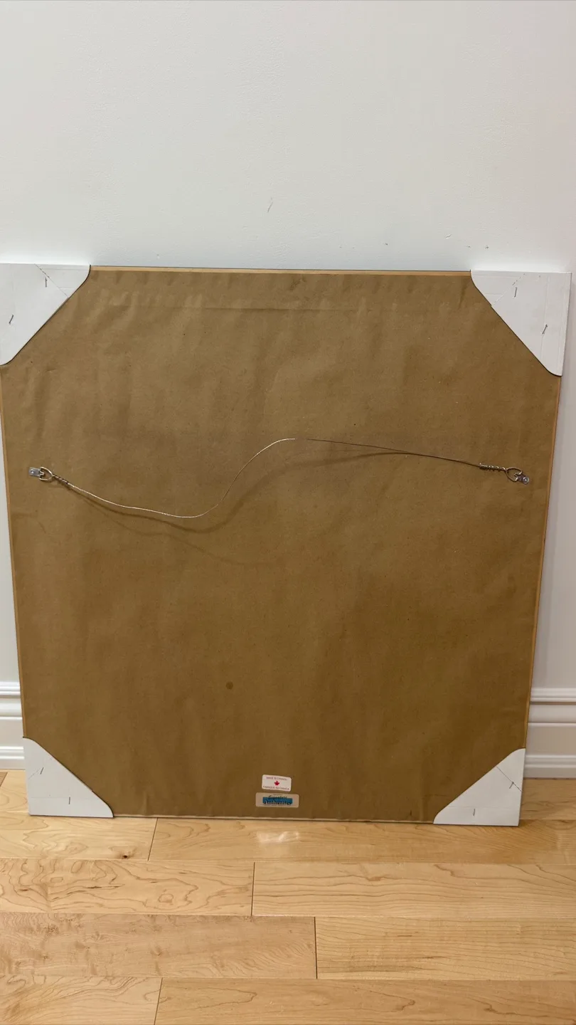 LeBron James Framed Memorabilia image indicator(7)