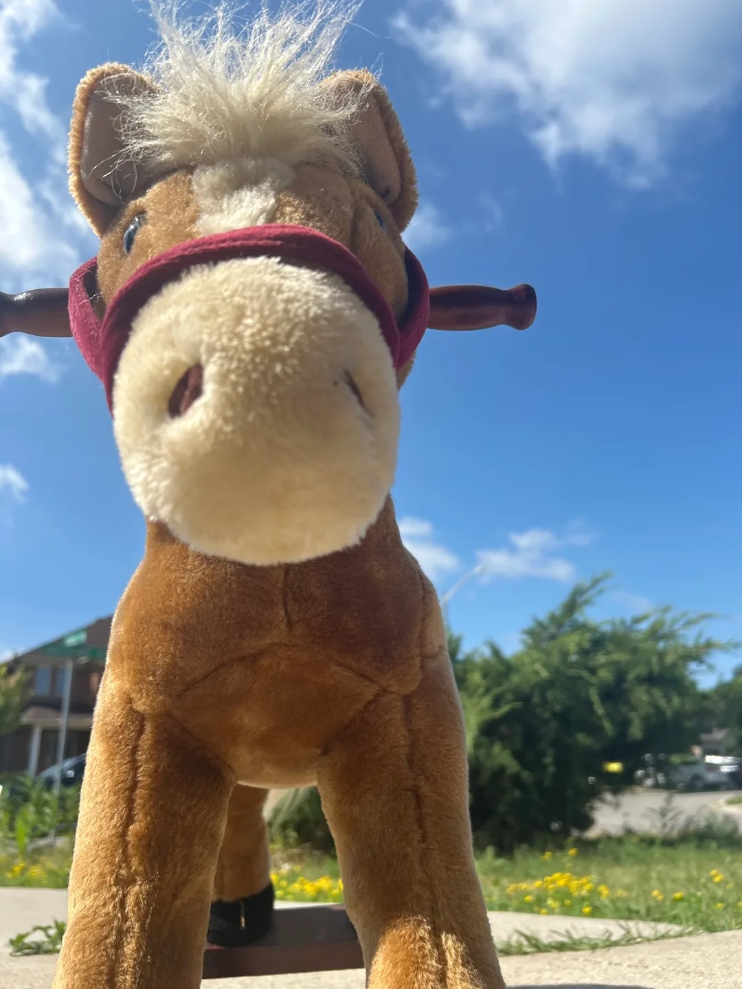 Rocking Horse thumbnail