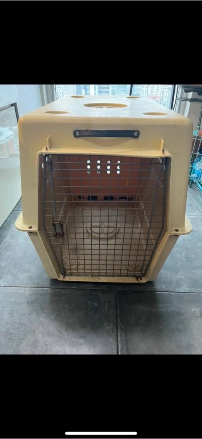 Petmate Sky Kennel Pet Carrier - Large image indicator(2)