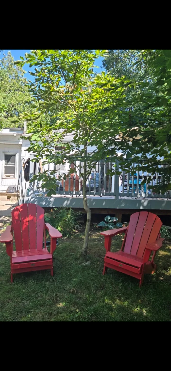 Red Adirondack Chairs thumbnail