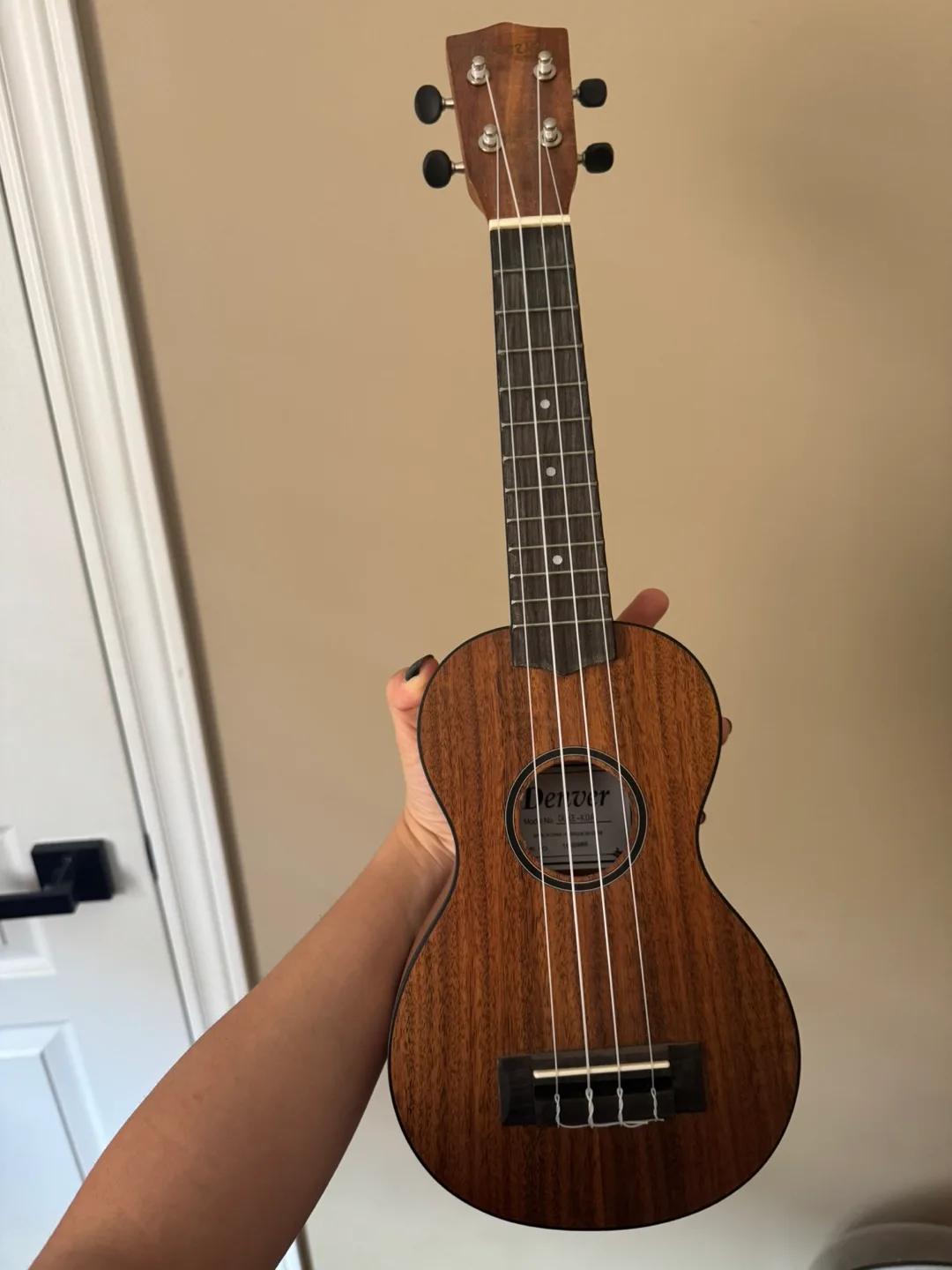 Denver Ukulele with cover thumbnail