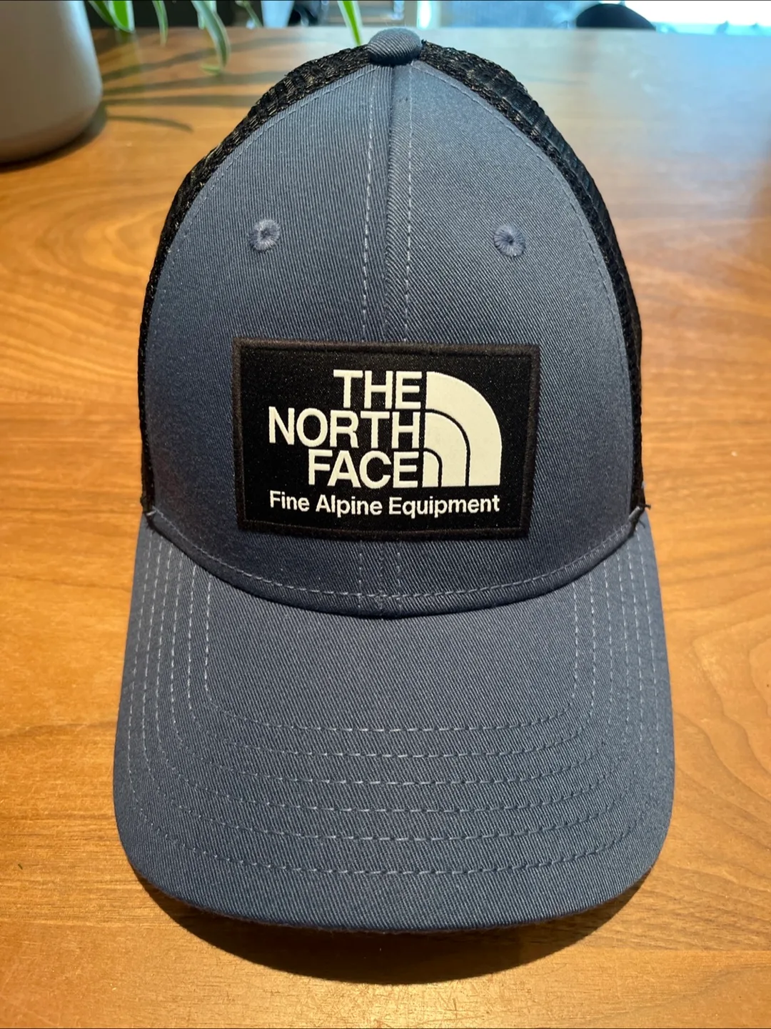 The North Face Trucker Hat - Blue thumbnail